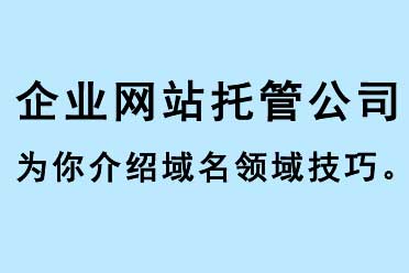 企業(yè)網站托管公司為你介紹域名領域技巧